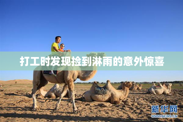 打工时发现捡到淋雨的意外惊喜