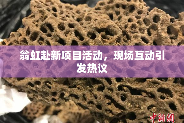 翁虹赴新项目活动，现场互动引发热议