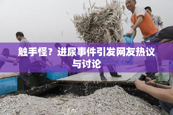 触手怪？进尿事件引发网友热议与讨论