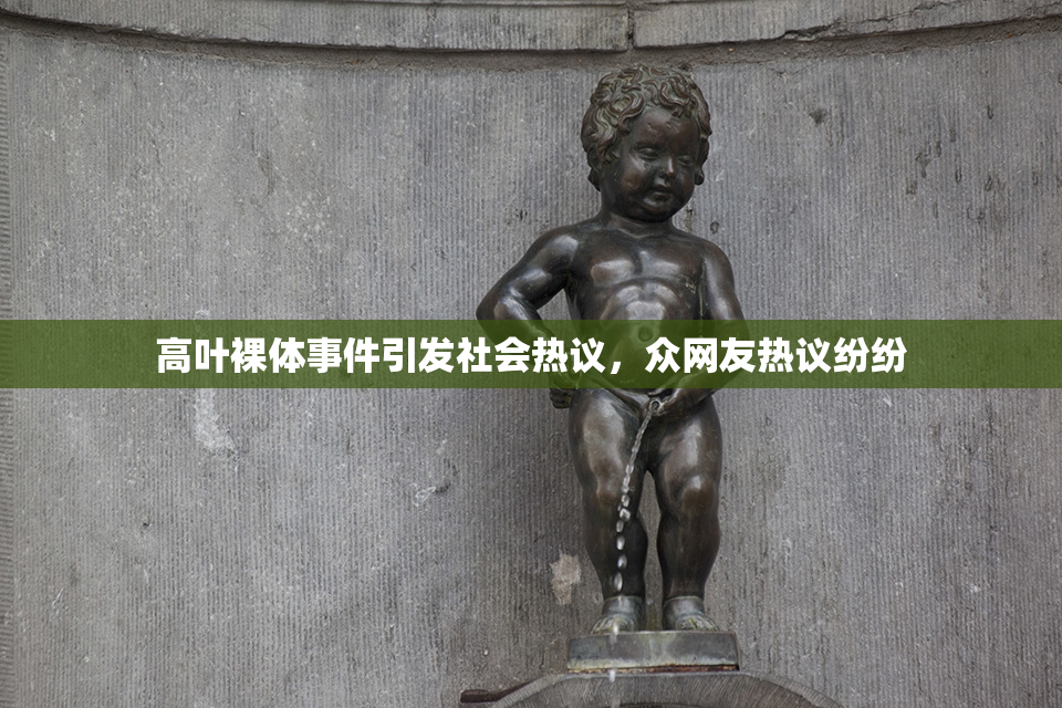 高叶裸体事件引发社会热议，众网友热议纷纷