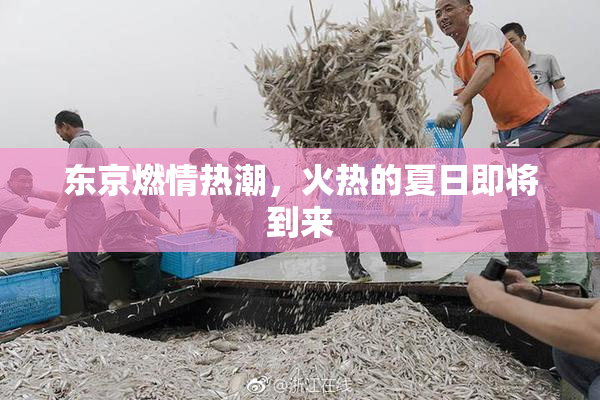 东京燃情热潮，火热的夏日即将到来