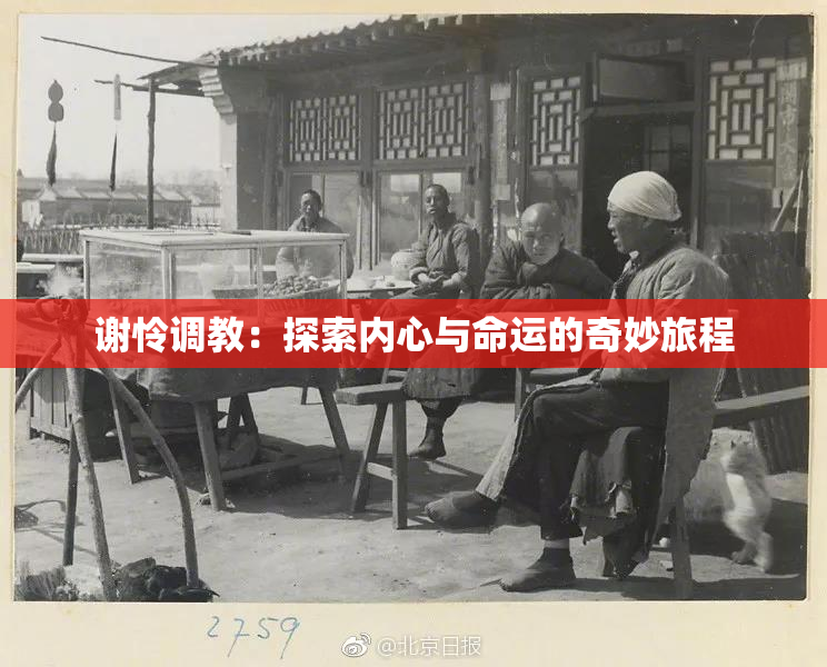 谢怜调教：探索内心与命运的奇妙旅程