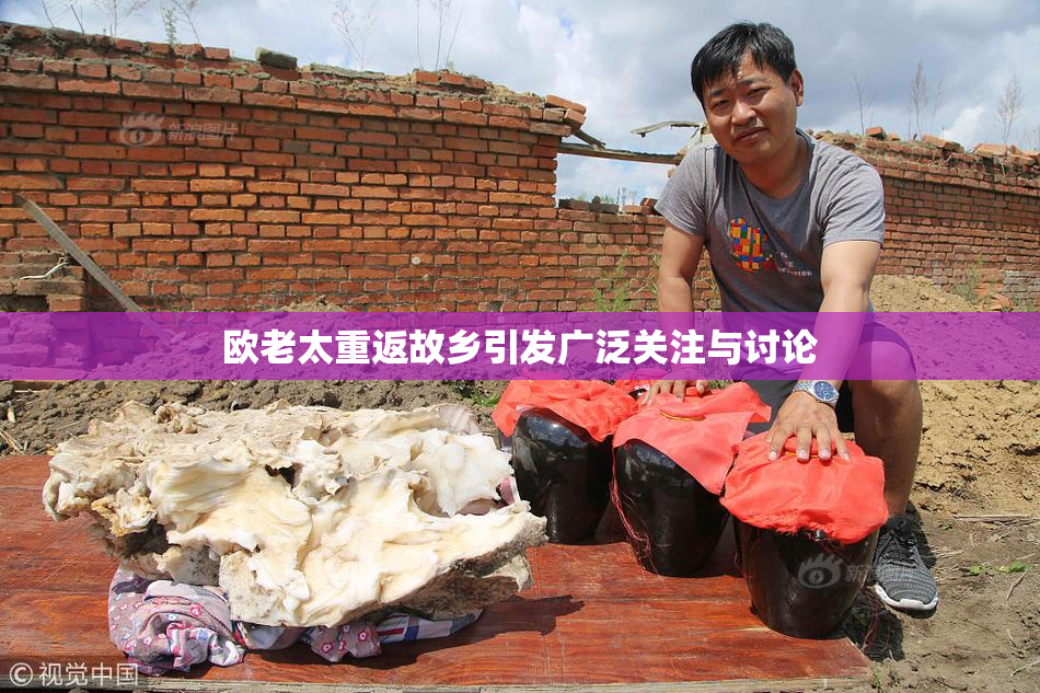欧老太重返故乡引发广泛关注与讨论