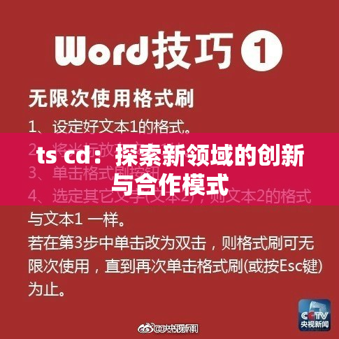 ts cd：探索新领域的创新与合作模式