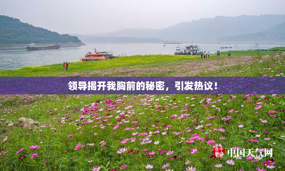 领导揭开我胸前的秘密，引发热议！