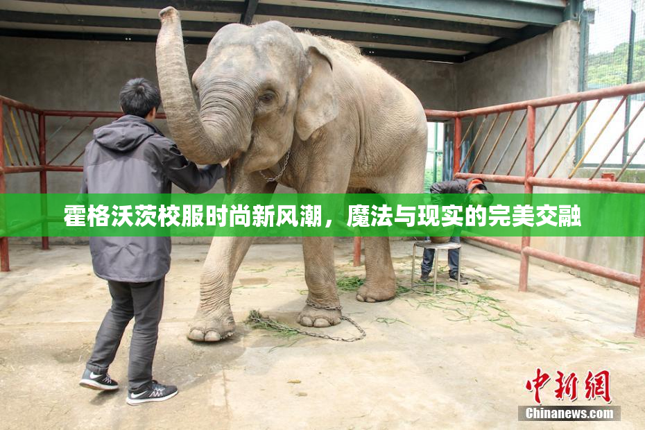 霍格沃茨校服时尚新风潮，魔法与现实的完美交融