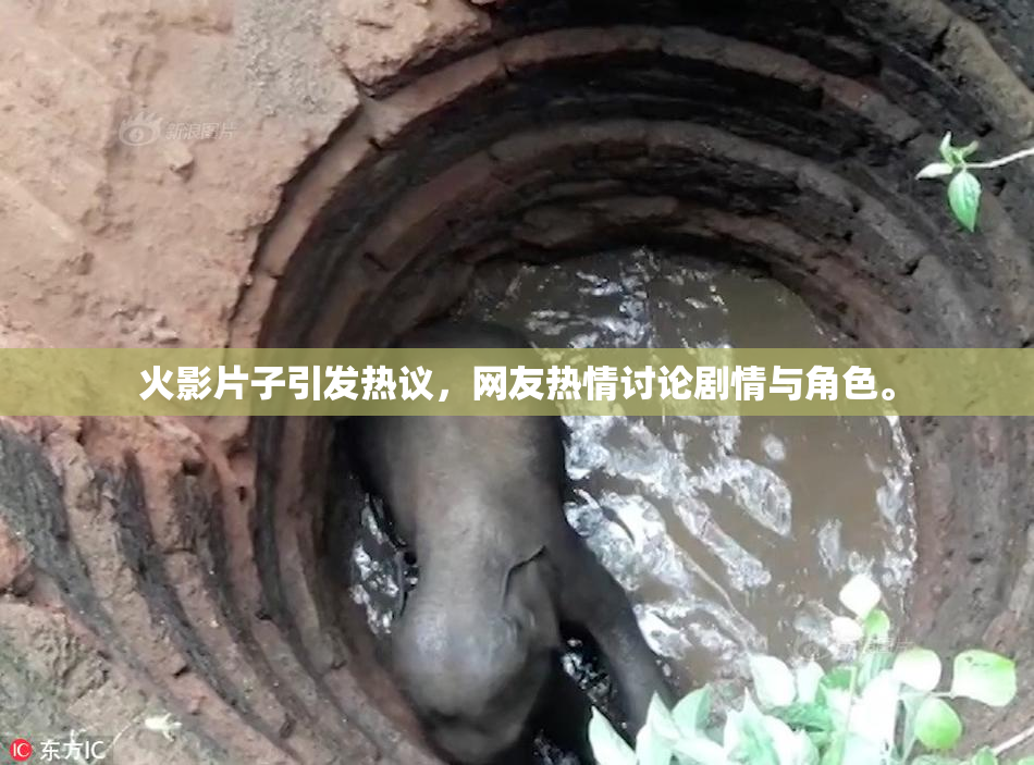 火影片子引发热议，网友热情讨论剧情与角色。