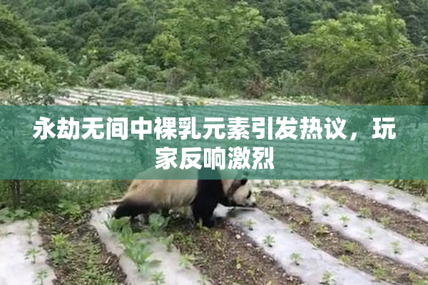 永劫无间中裸乳元素引发热议，玩家反响激烈