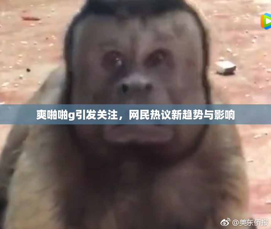 爽啪啪g引发关注，网民热议新趋势与影响
