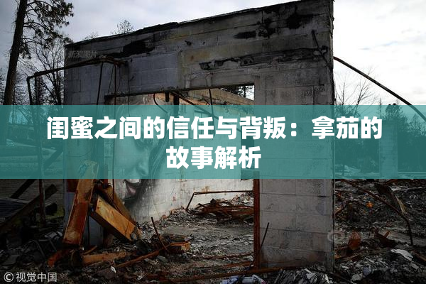 闺蜜之间的信任与背叛：拿茄的故事解析