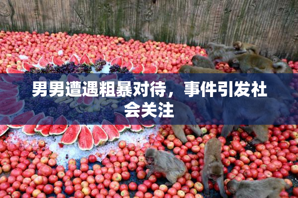男男遭遇粗暴对待，事件引发社会关注