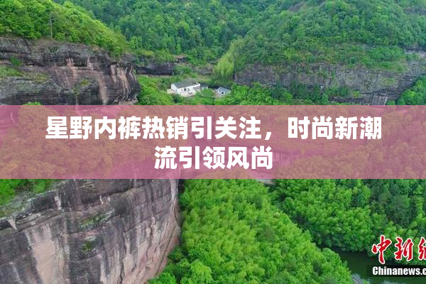 星野内裤热销引关注，时尚新潮流引领风尚