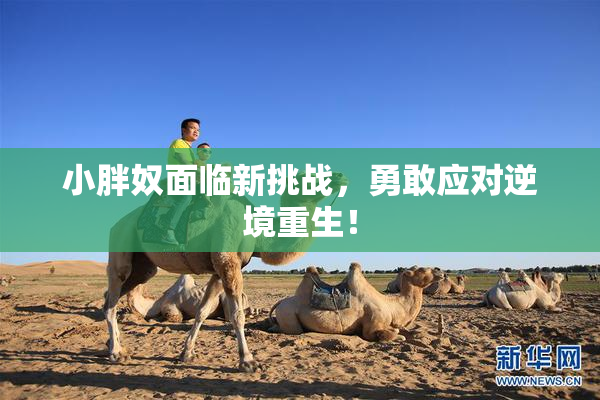 小胖奴面临新挑战，勇敢应对逆境重生！