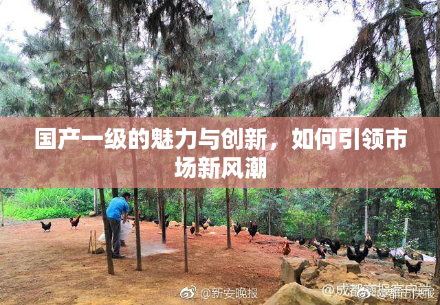 国产一级的魅力与创新，如何引领市场新风潮