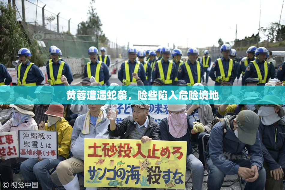 黄蓉遭遇蛇袭，险些陷入危险境地
