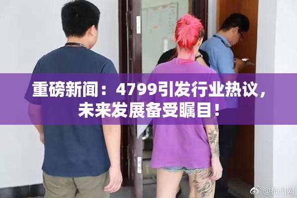 重磅新闻：4799引发行业热议，未来发展备受瞩目！