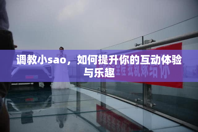 调教小sao，如何提升你的互动体验与乐趣