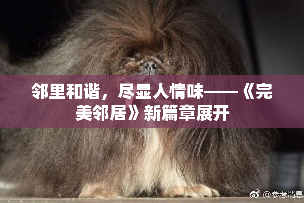 邻里和谐，尽显人情味——《完美邻居》新篇章展开