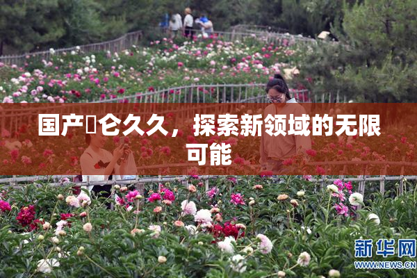 国产婬仑久久，探索新领域的无限可能