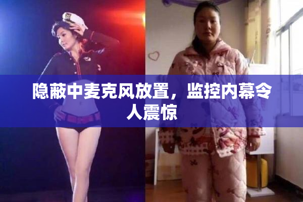 隐蔽中麦克风放置，监控内幕令人震惊