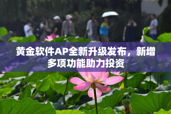 黄金软件AP全新升级发布，新增多项功能助力投资