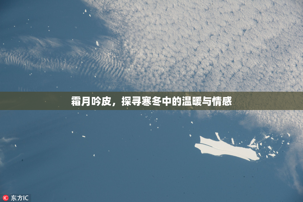 霜月吟皮，探寻寒冬中的温暖与情感