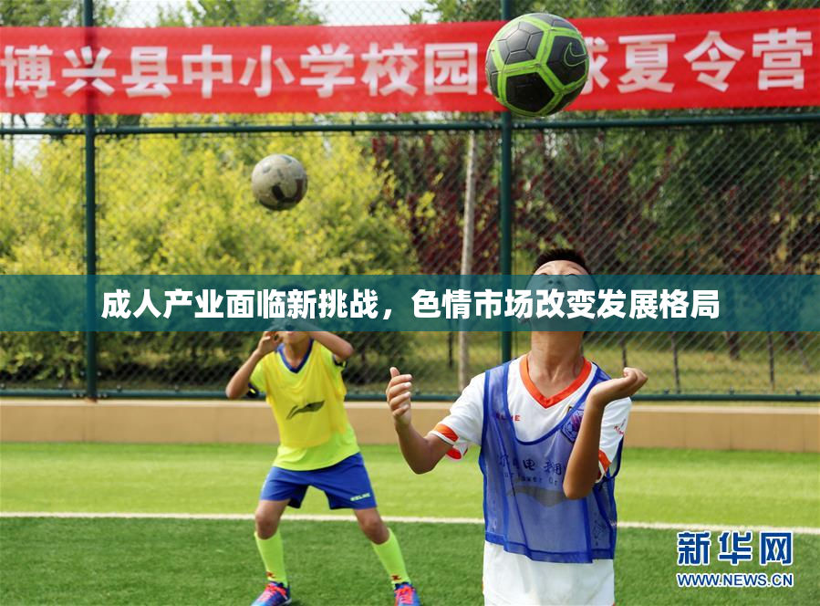 成人产业面临新挑战，色情市场改变发展格局