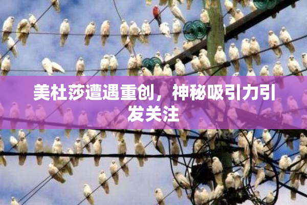 美杜莎遭遇重创，神秘吸引力引发关注
