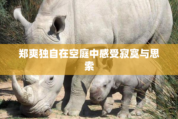 郑爽独自在空庭中感受寂寞与思索