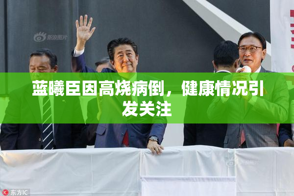 蓝曦臣因高烧病倒，健康情况引发关注