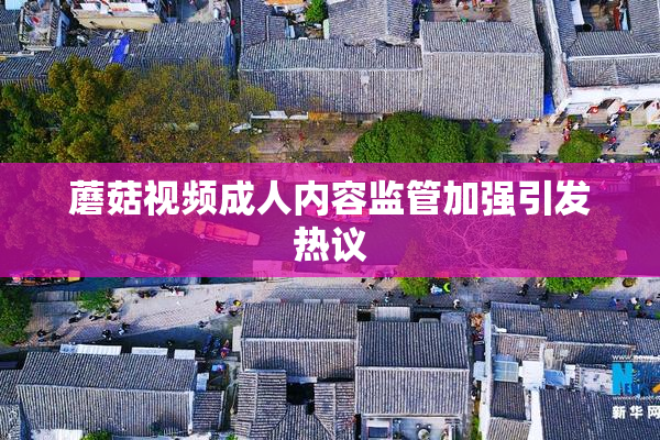 蘑菇视频成人内容监管加强引发热议