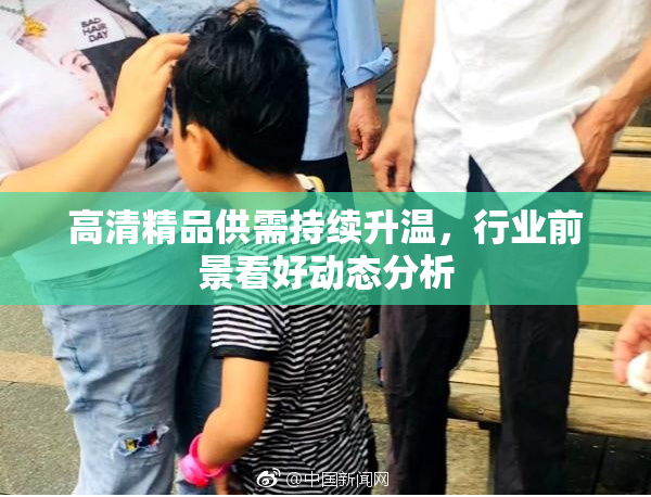 高清精品供需持续升温，行业前景看好动态分析