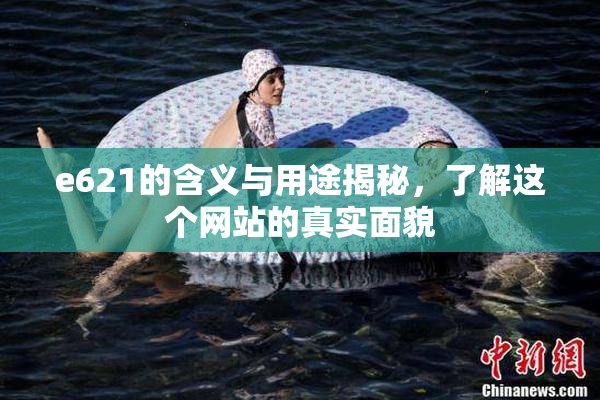e621的含义与用途揭秘，了解这个网站的真实面貌
