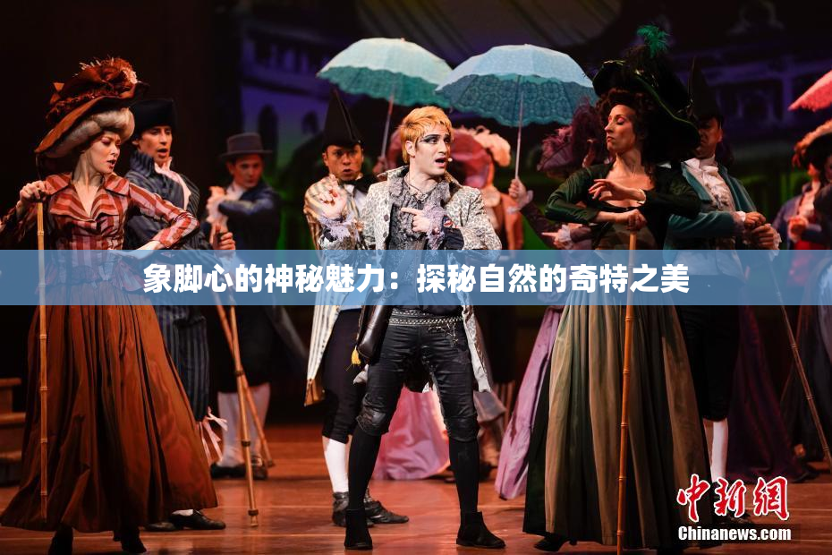象脚心的神秘魅力：探秘自然的奇特之美