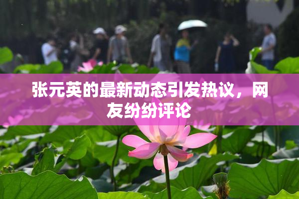 张元英的最新动态引发热议，网友纷纷评论