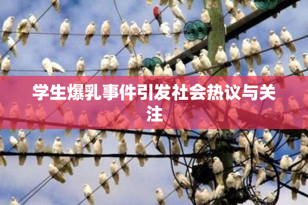 学生爆乳事件引发社会热议与关注