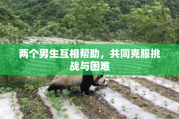 两个男生互相帮助，共同克服挑战与困难