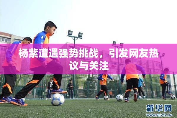 杨紫遭遇强势挑战，引发网友热议与关注