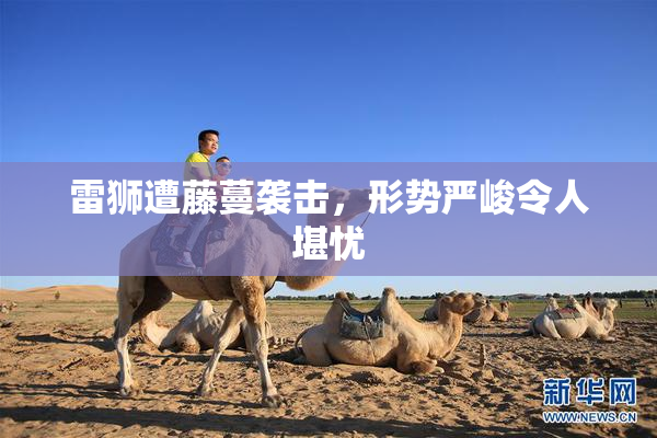 雷狮遭藤蔓袭击，形势严峻令人堪忧