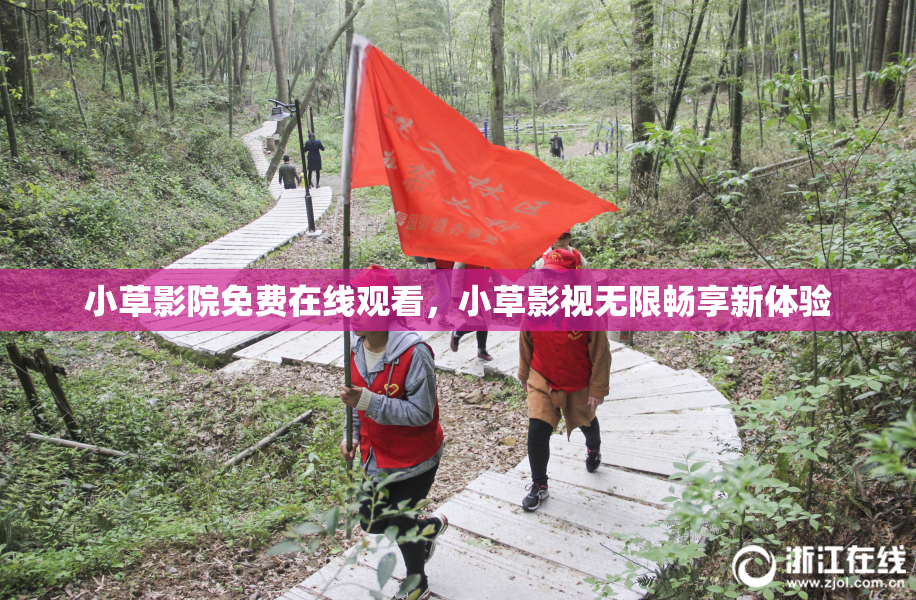 小草影院免费在线观看，小草影视无限畅享新体验