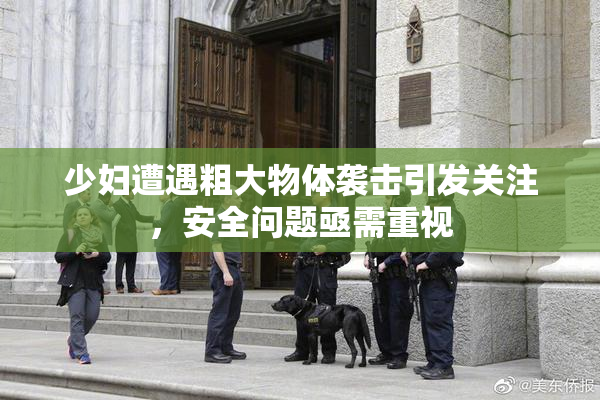 少妇遭遇粗大物体袭击引发关注，安全问题亟需重视