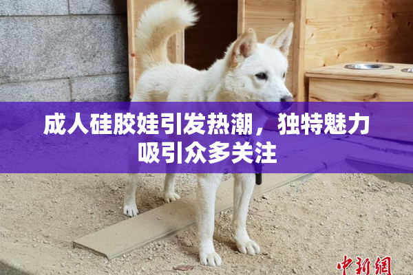 成人硅胶娃引发热潮，独特魅力吸引众多关注