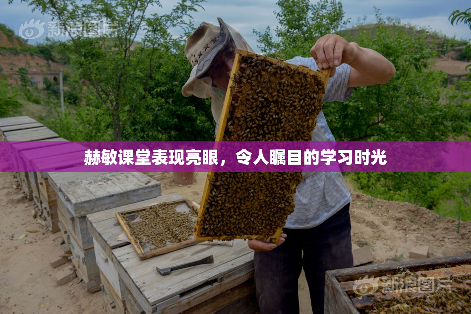 赫敏课堂表现亮眼，令人瞩目的学习时光