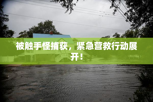 被触手怪捕获，紧急营救行动展开！