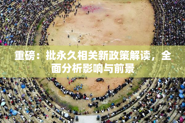 重磅：批永久相关新政策解读，全面分析影响与前景