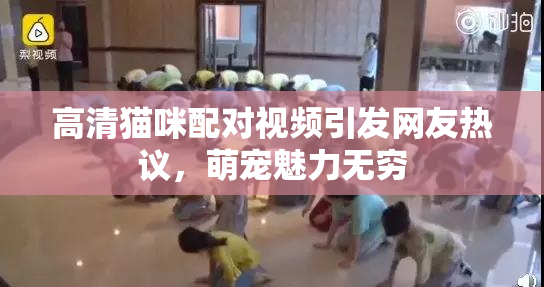高清猫咪配对视频引发网友热议，萌宠魅力无穷