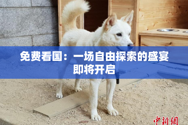 免费看国：一场自由探索的盛宴即将开启