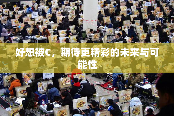 好想被C，期待更精彩的未来与可能性