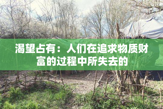 渴望占有：人们在追求物质财富的过程中所失去的