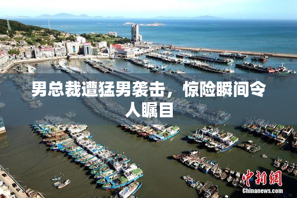 男总裁遭猛男袭击，惊险瞬间令人瞩目